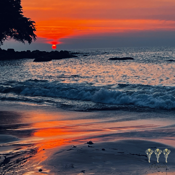 Sun Set Beach