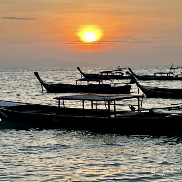 Sun Rise Boats