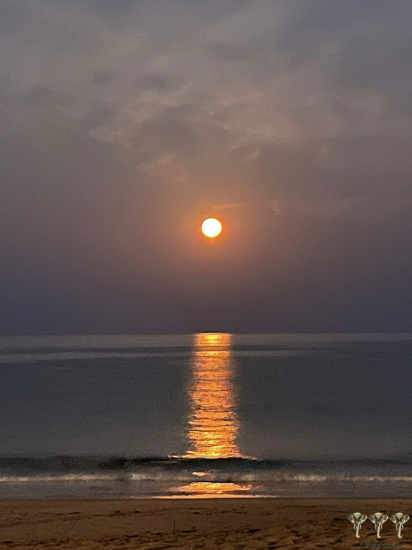 Moon Set