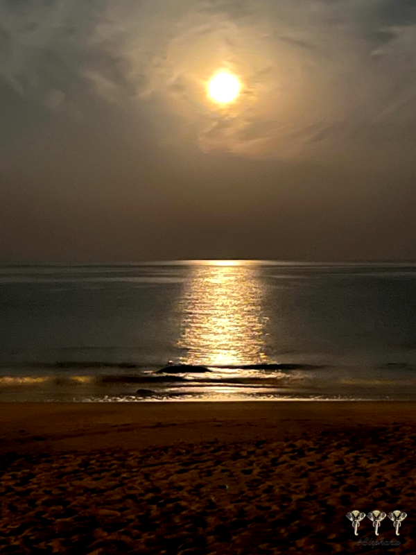 Moon Beach