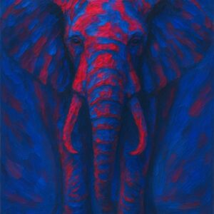 Blue&Red Elephant